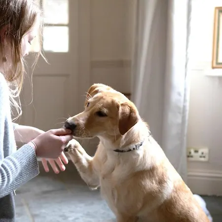 לינה וארוחת בוקר Victorian House